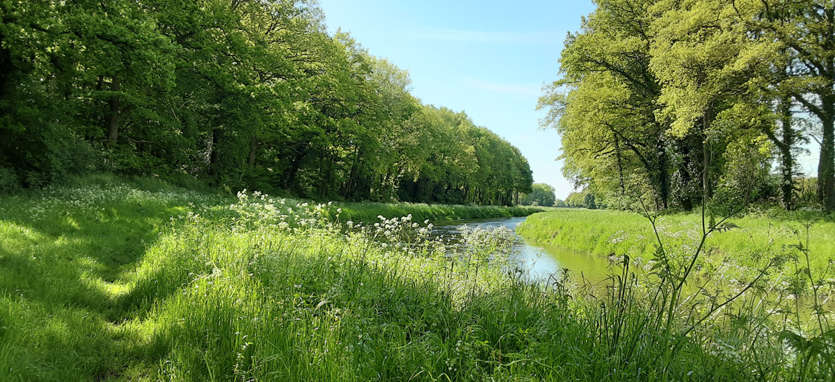 Fluss in der Umgebung von Quakenbrück